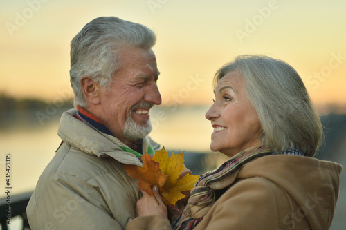smiling senior couple posing in park