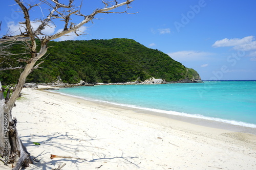 Beautiful tropical island. Calm waves on the blue water with trees. Ino Beach in Zamami island, Okinawa, Japan - 日本 沖縄 座間味島 イノーの浜 