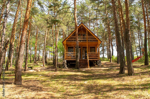 Small wooden house in the middle of a beautiful pine forest in the summertime during the day. Coniferous forest.