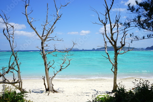 Fototapeta Naklejka Na Ścianę i Meble -  Beautiful tropical island. Calm waves on the blue water with trees. Ino Beach in Zamami island, Okinawa, Japan - 日本 沖縄 座間味島 イノーの浜	