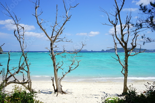 Beautiful tropical island. Calm waves on the blue water with trees. Ino Beach in Zamami island, Okinawa, Japan - 日本 沖縄 座間味島 イノーの浜 © Eric Akashi