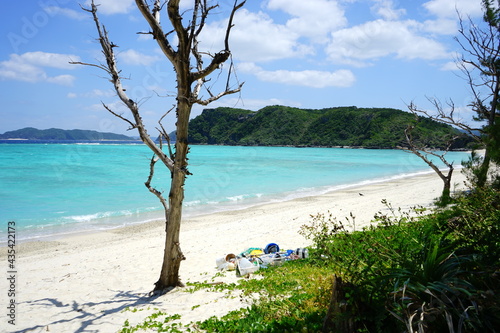 Beautiful tropical island. Calm waves on the blue water with trees. Ino Beach in Zamami island  Okinawa  Japan -                                            