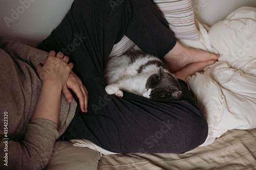 Domestic cat comfortably sleeping in woman lap while both lying in bed