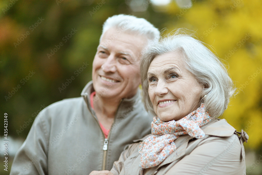 happy senior couple posing in the park happy senior couple posing in the park