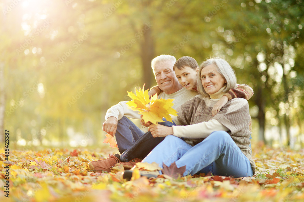 happy grandfather, grandmother  and grandson