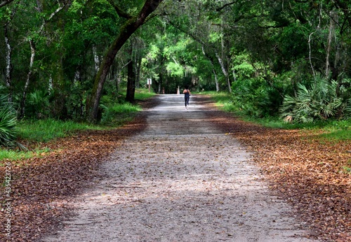 Person jogging along pathway at a distance state park Florida, USA