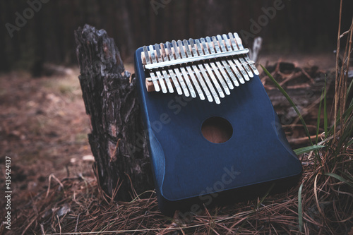 Kalimba is an African musical instrument in forest near tree. photo