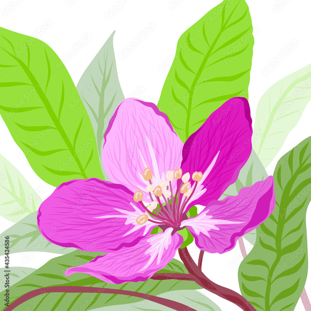 Spring pink flower. Vector illustration. Spring pink flower. Vector illustration.