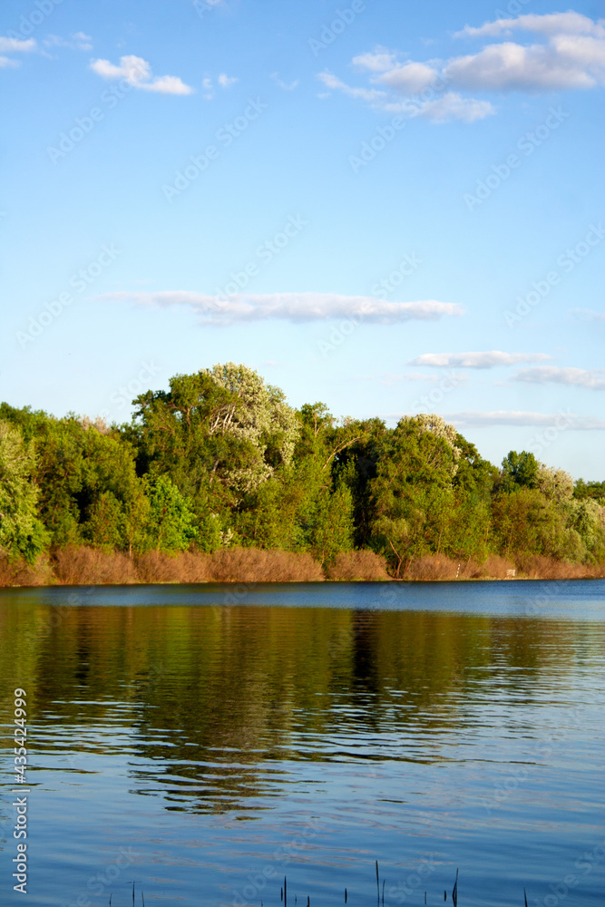 Scenic view on Dnieper river bay with trees and shrubs along the coastline on a spring day Scenic view on Dnieper river bay with trees and shrubs along the coastline on a spring day