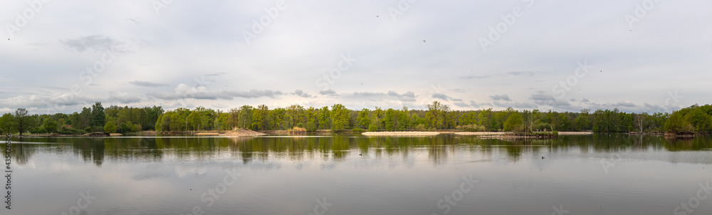 small islands with waterfowl in the pond, Vrbenske rybniky Nature reserve, Ceske Budejovice, Czech republic