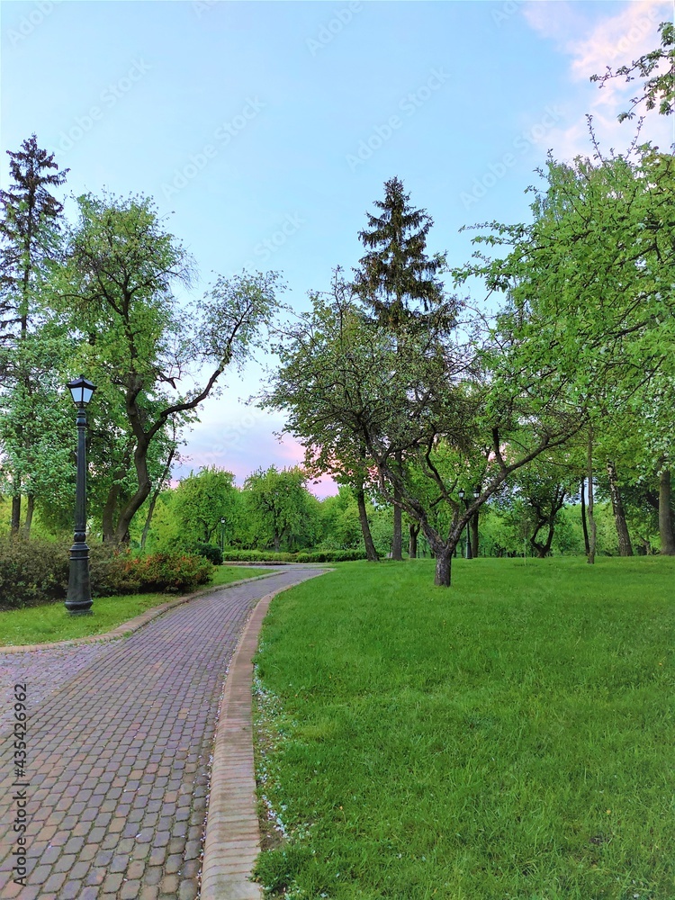 Obraz premium Trees in the park in the spring after rain; the freshness of a spring garden