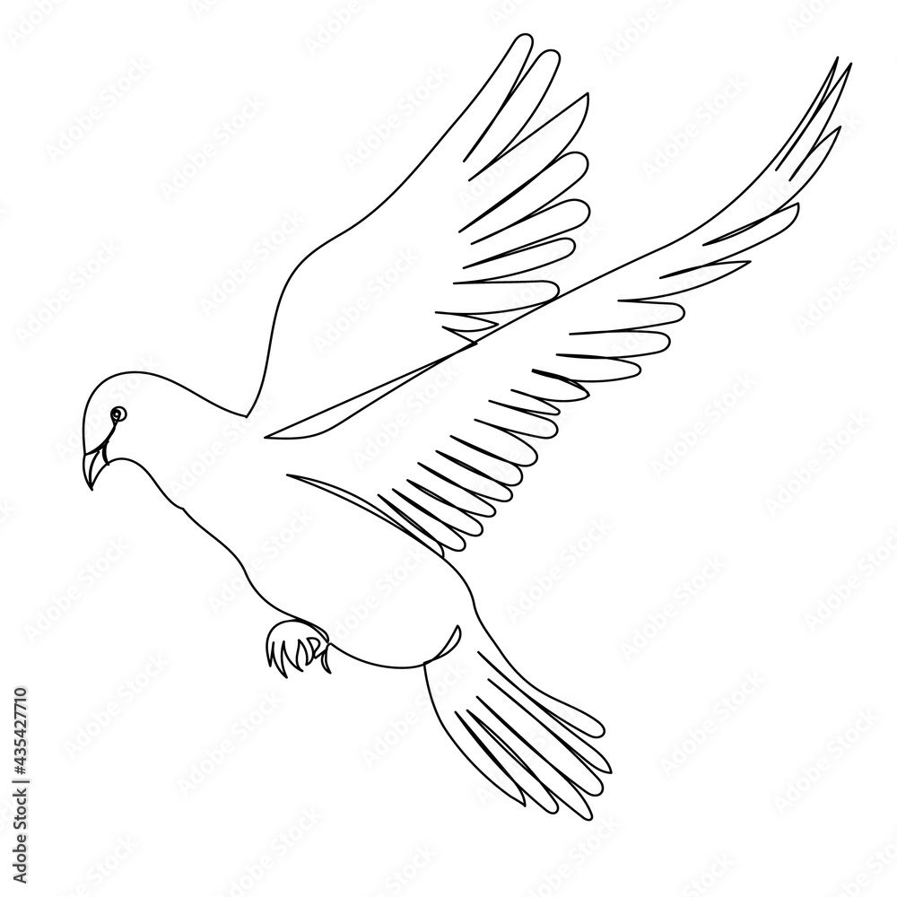Obraz premium sketch of flying bird, dove isolated