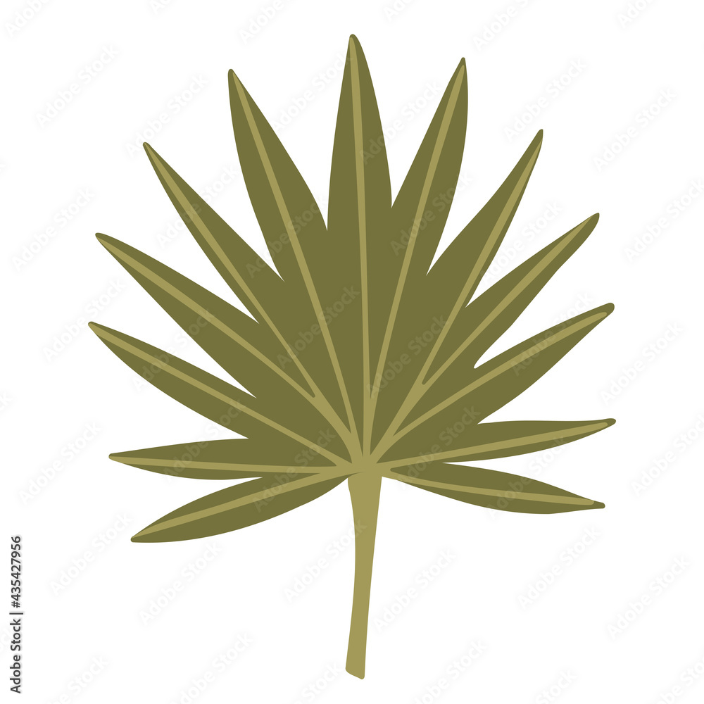 Green leaf. Exotic tropical plant. Hand drawn vector illustration. Isolated element on a white background Green leaf. Exotic tropical plant. Hand drawn vector illustration. Isolated element on a white background