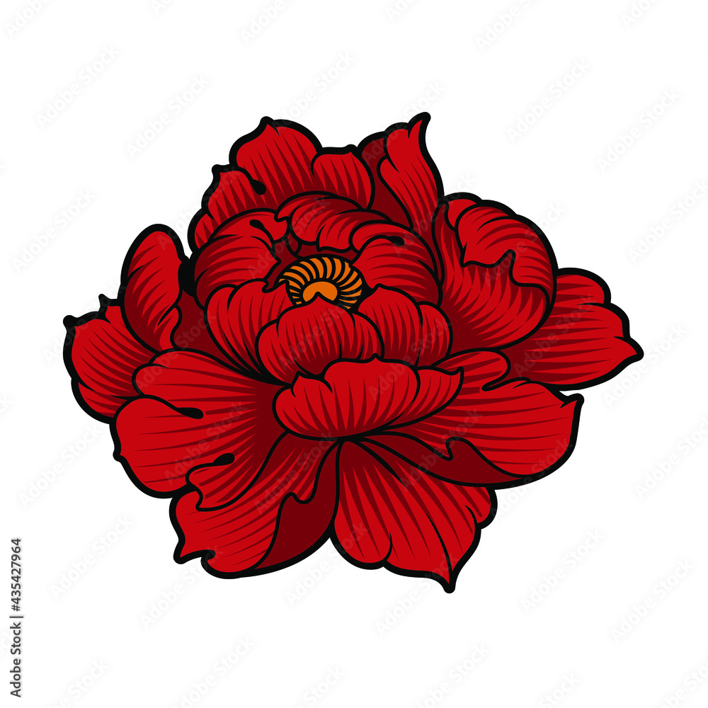 a vector illustration of a peony flower isolated on white background a vector illustration of a peony flower isolated on white background