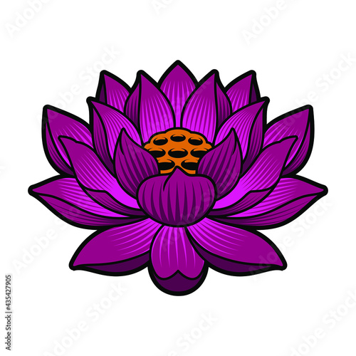 A vector illustration of a lotus isolated on white background