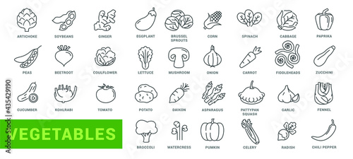 Vegetable icon set. Minimal thin line style. Outline icons collection vegetables zucchini  tomato  radish  mushroom  ginger  fennel  corn  celery. Vector illustration Design on white background EPS 10