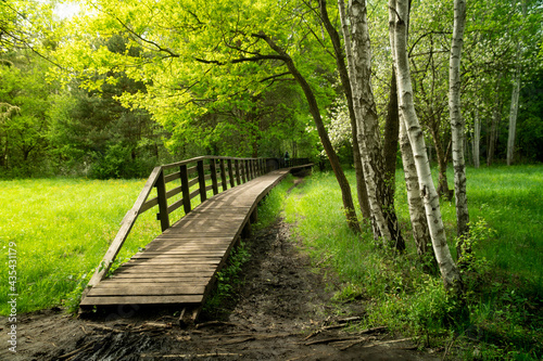 Wooden path on a road in the Kampinos National Park in Poland, north of Warsaw. Very green in spring, bridge over a swamp.