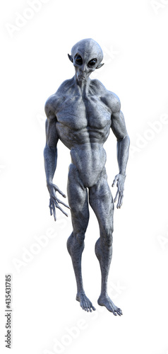 Illustration of a creepy muscular gray alien with pointy ears looking forward with large black eyes