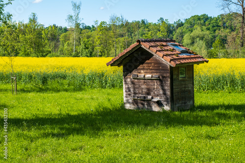 Bienenhaus vor gelbem Rapsfeld photo