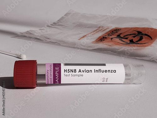 H5N8 Flu outbreak photo