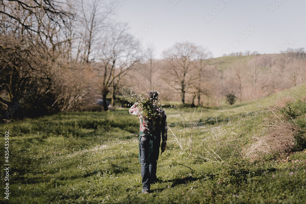 Gardener walking in a forest with a bunch of flowering branches Gardener walking in a forest with a bunch of flowering branches