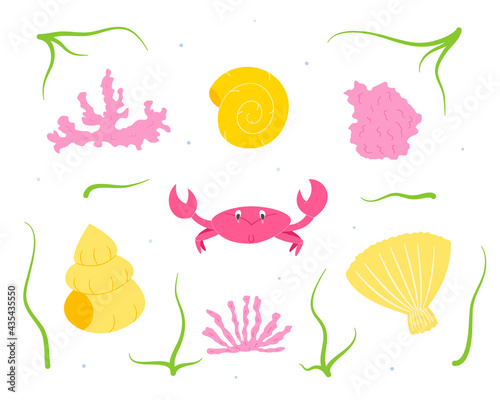Set of sea scavengers, crab and molluscs with corals.Isolated drawings in the style of doodle on a white background.