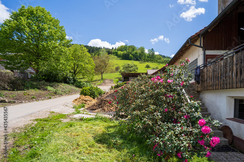 Steinach im Schwarzwald