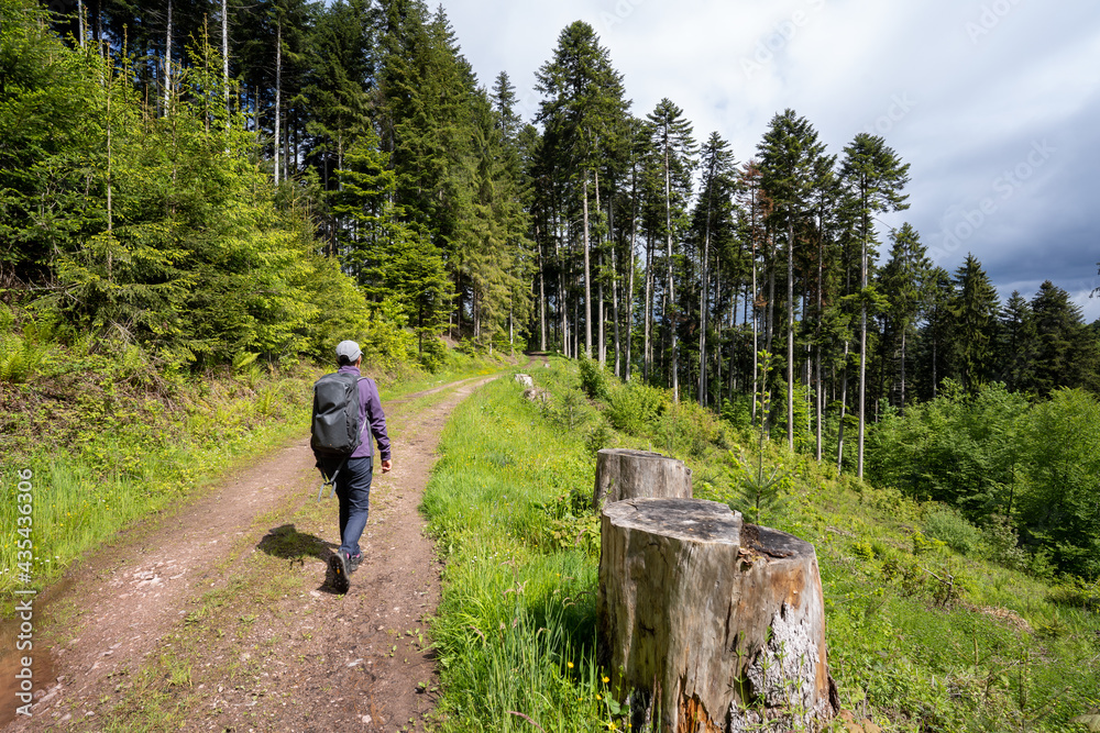 Obraz premium Steinach im Schwarzwald