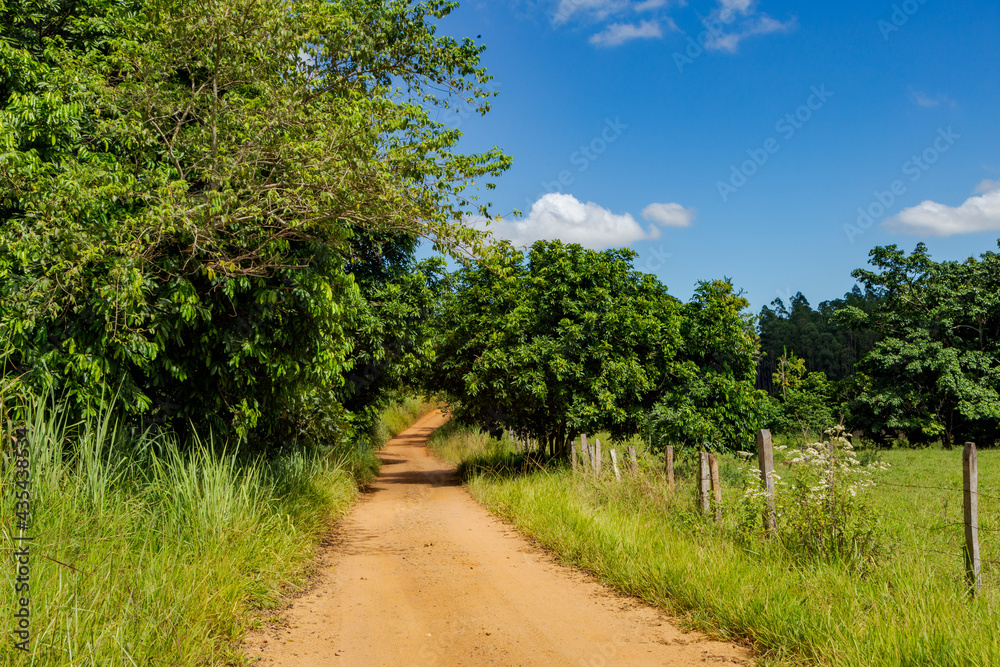 Vista de trecho de estrada rural em Guarani, Minas Gerais, Brasil