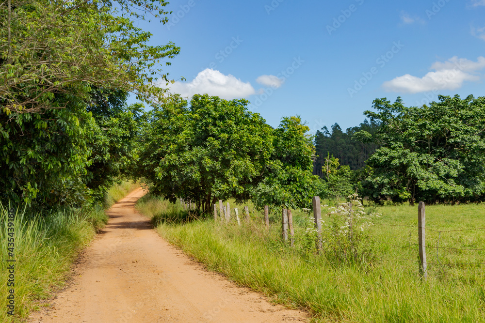 Vista de trecho de estrada rural em Guarani, Minas Gerais, Brasil