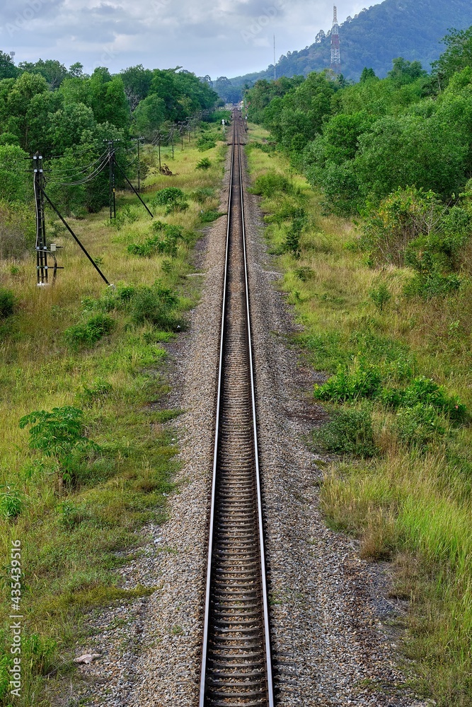 Top view long train rail, trees and green grass. Top view long train rail, trees and green grass.