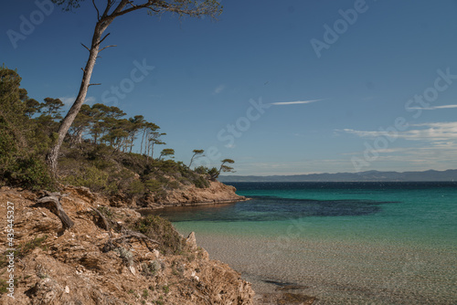 beach with trees on an island © Clement