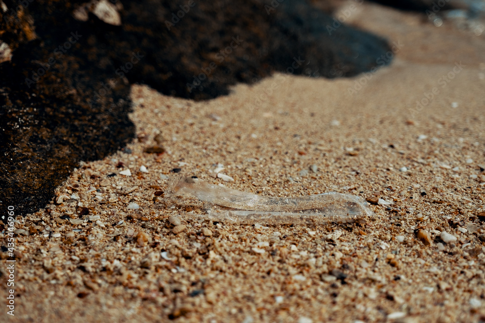 Plastic trash mixed with sand found in the beach. Plastic trash mixed with sand found in the beach.