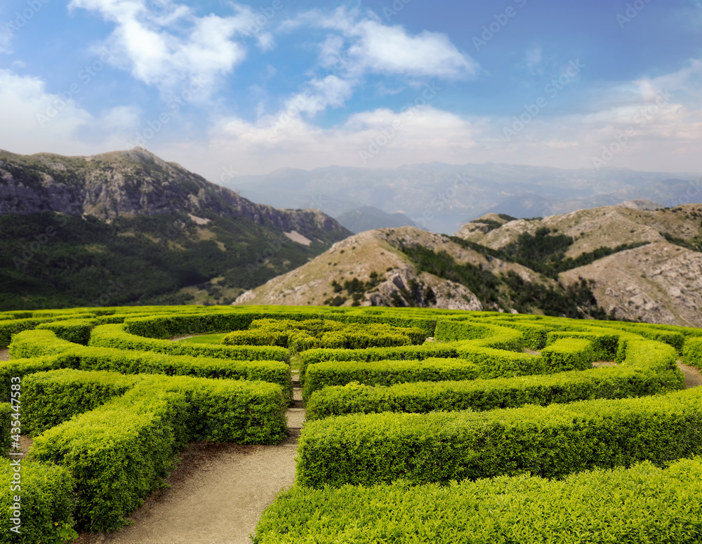 Beautiful view of green hedge maze and mountain landscape on sunny day