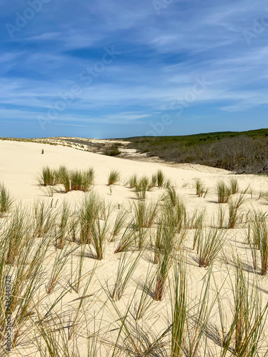 Dune de sable, plage de le Porge, Gironde photo