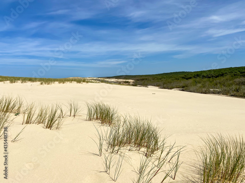 Fototapeta Naklejka Na Ścianę i Meble -  Dune de sable, plage de le Porge, Gironde