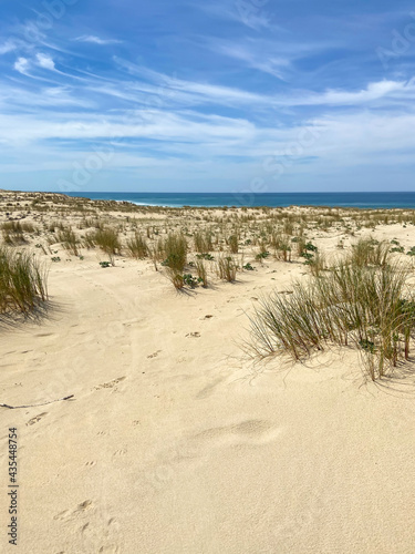 Dune de sable, plage de le Porge, Gironde