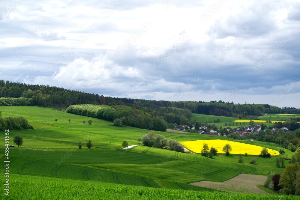 Obraz premium Rapsfeld 