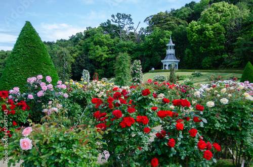 静岡県賀茂郡河津町の河津バガテル公園です。フランス式庭園の特徴である左右対称の幾何学模様が一望できます。