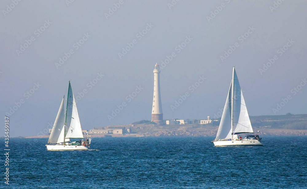 Fototapeta premium Veleros frente a isla de lobos - Punta del Este - Uruguay