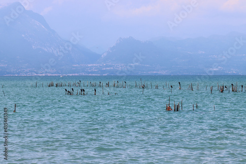 Lake Garda Sirmione locality Punta Grò Punta Grò