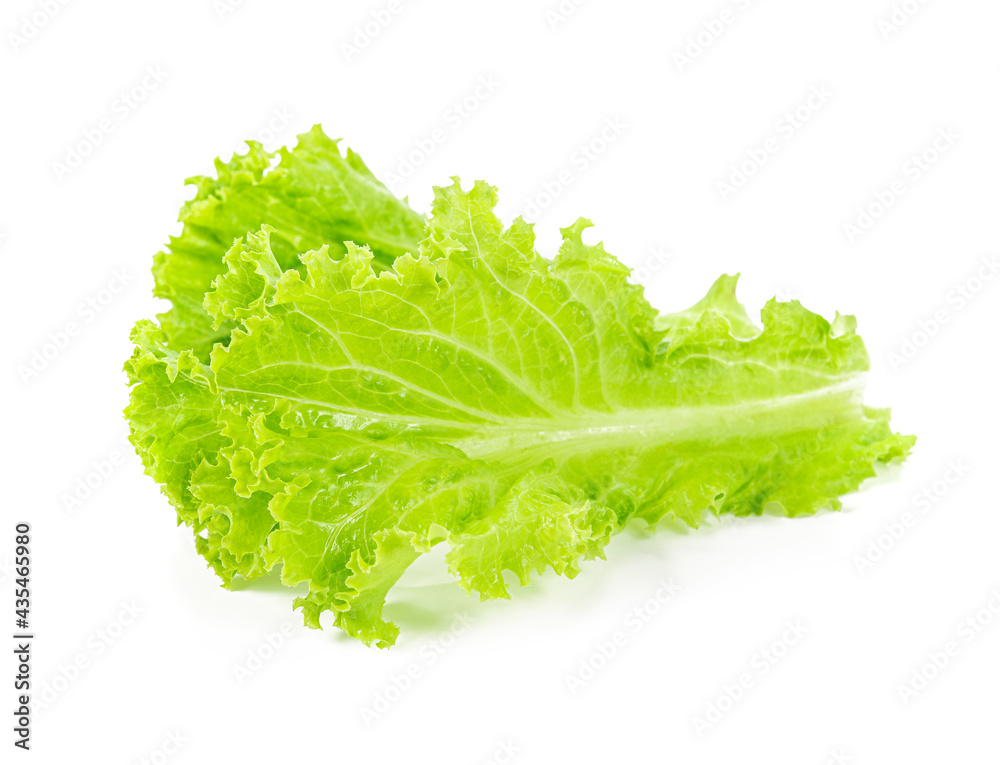 Lettuce leaves isolated on white background. Lettuce leaves isolated on white background.