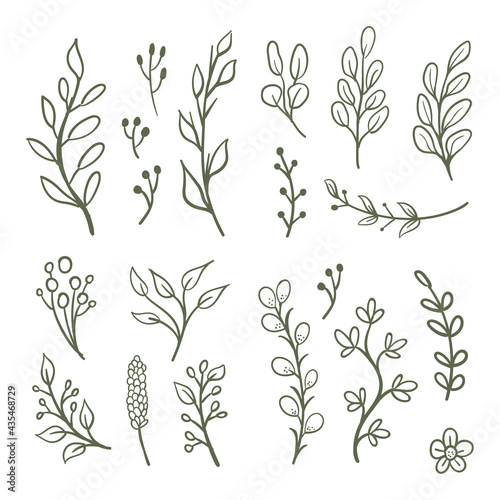 Hand drawn floral ornaments. Flowers and leaves doodle vector collection. Decorative plants illustrations. Nature decoration drawings handmade style.
