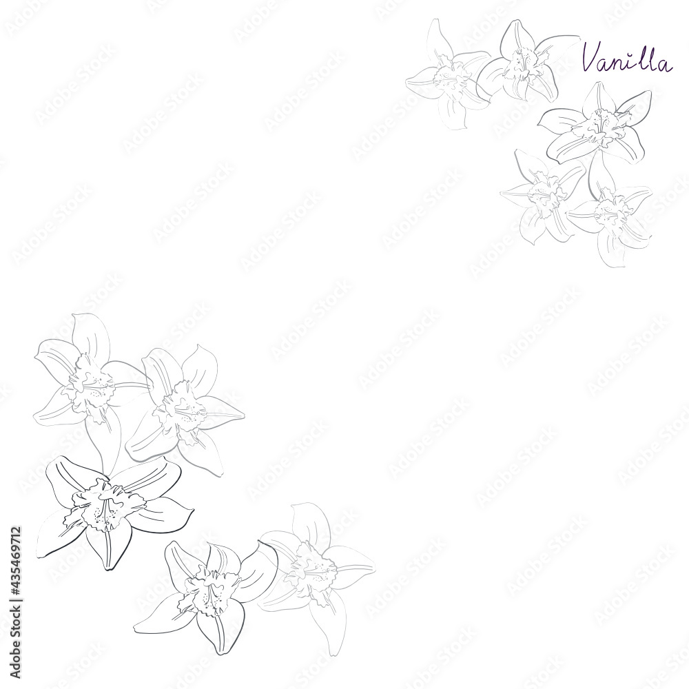 vanilla outline sticker vector illustration