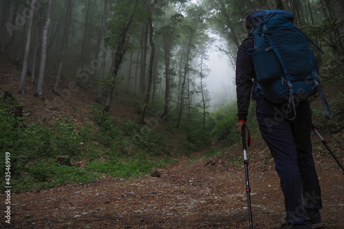 I look at the Forest near Novorossiysk covered with thick fog