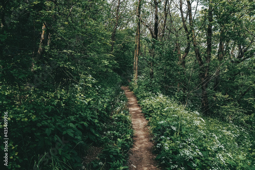 path to the Neberdzhaevsky reservoir near Novorossiysk