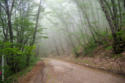 The road leading to the reservoir near the city of Novorossiysk