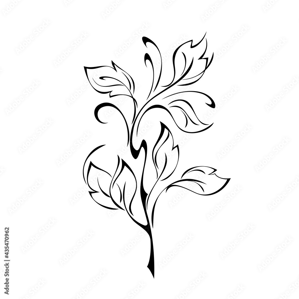 ornament 1778. unique stylized twig with leaves and curls in black lines on a white background ornament 1778. unique stylized twig with leaves and curls in black lines on a white background