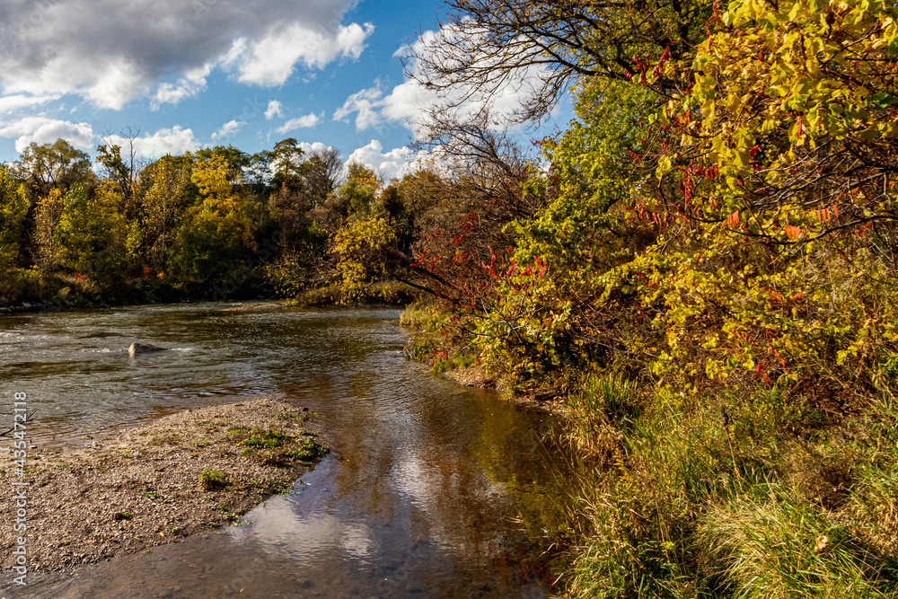 Beautiful fall day by the river side - Fall in Central Ontario, Canada