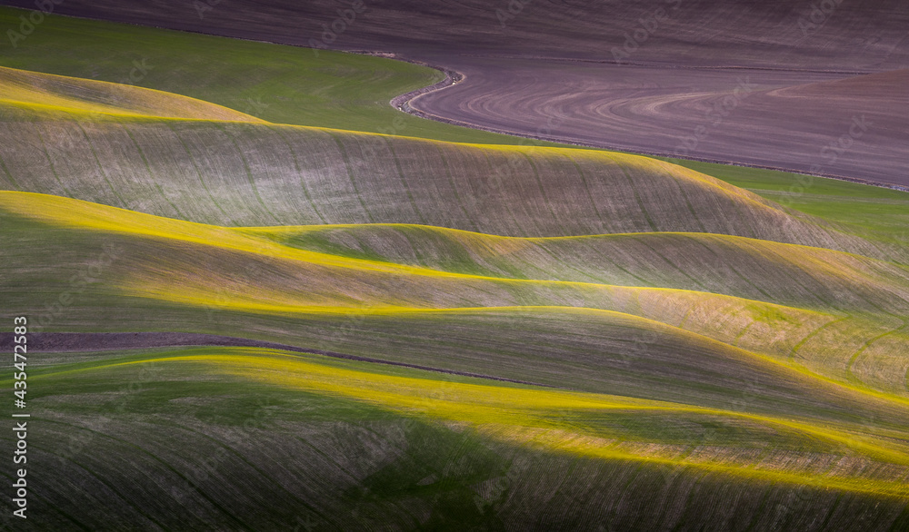 View of Farmland rolling hill with dramatic sunset light from Steptoe Butte State Park in Washington